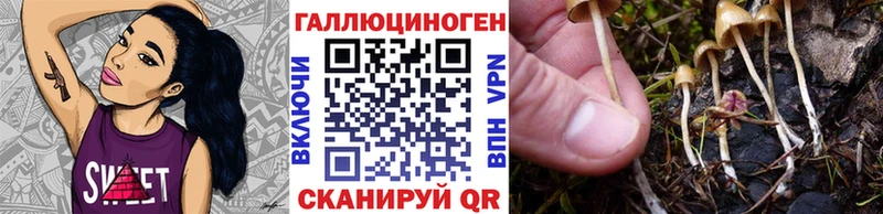 Галлюциногенные грибы Cubensis  наркошоп  Ужур 